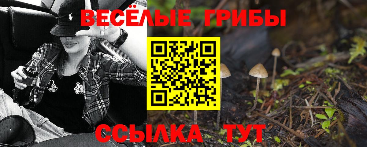 Тула  Псилоцибиновые грибы MAGIC MUSHROOMS  Вход с VPN  Галлюциногенные грибы GOLDEN TEACHER 